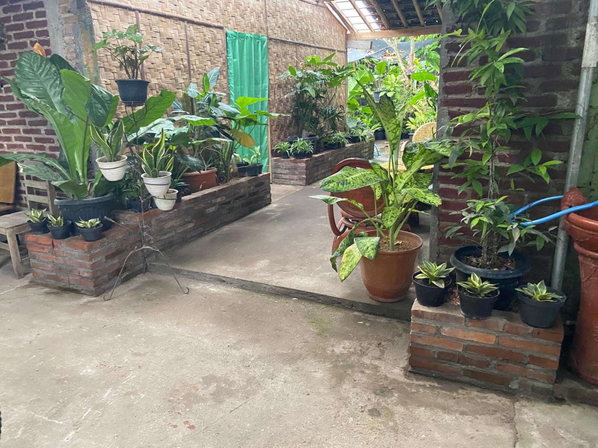 Ada Homestay マゲラン エクステリア 写真