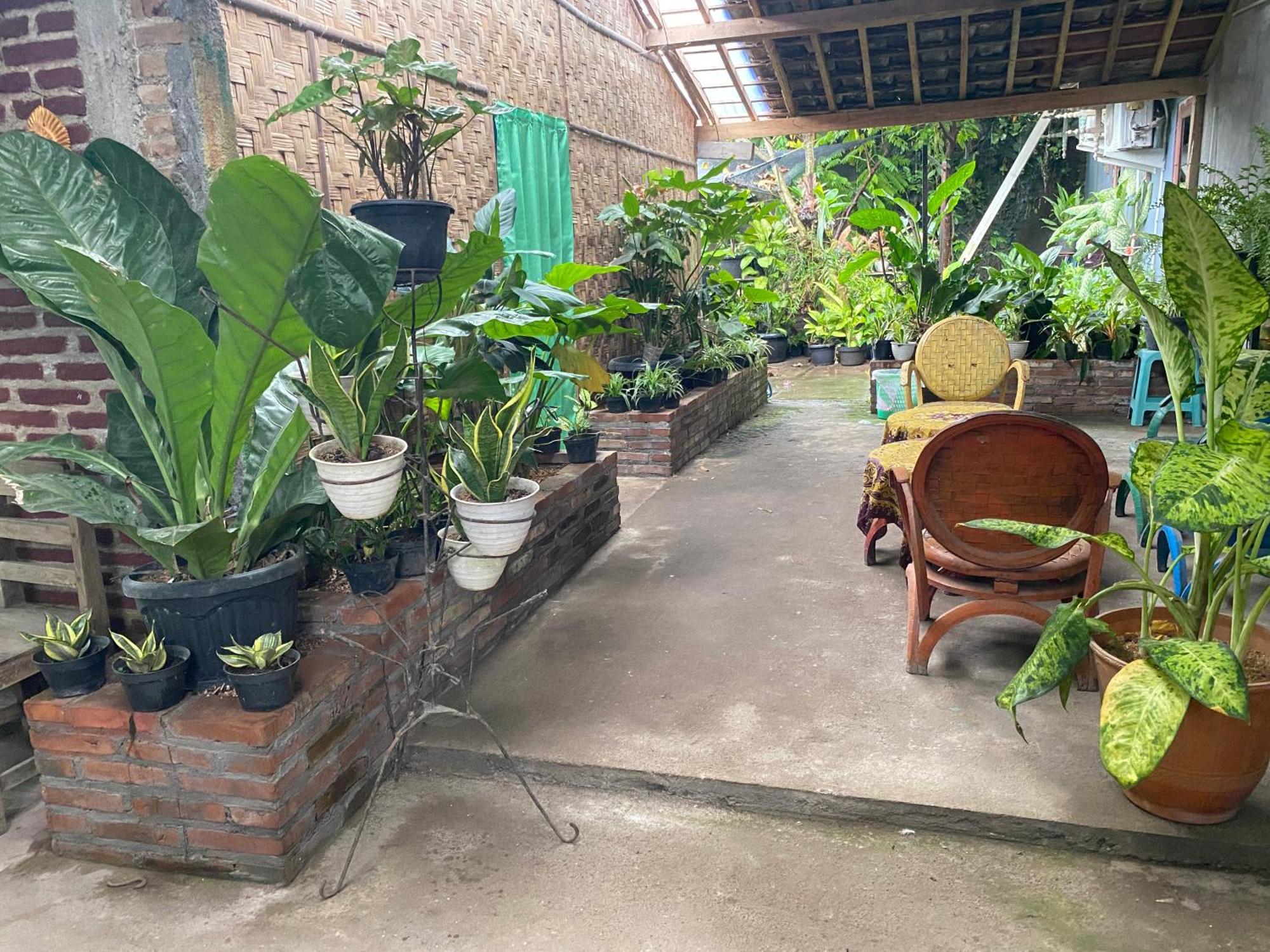 Ada Homestay マゲラン エクステリア 写真